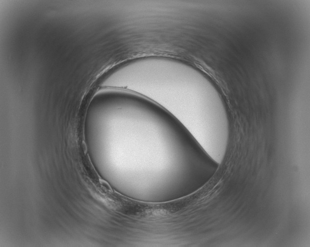 X0000058800203200509300923