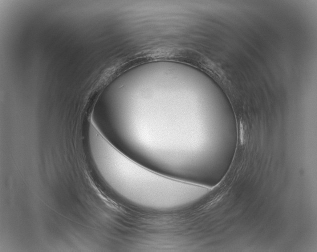 X0000058800205200509300923