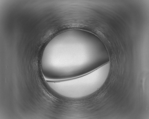 X0000058800207200509300923
