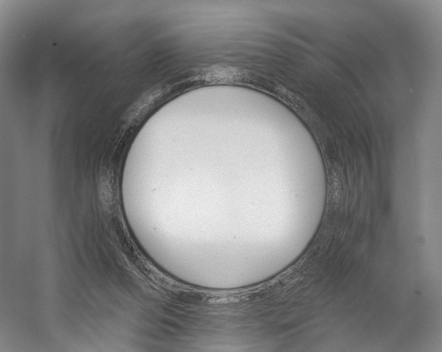 X0000058800208200509300923