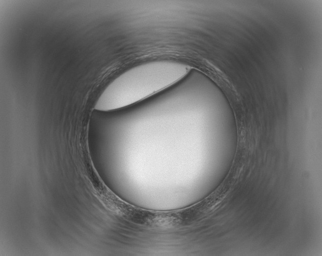 X0000058800209200509300923