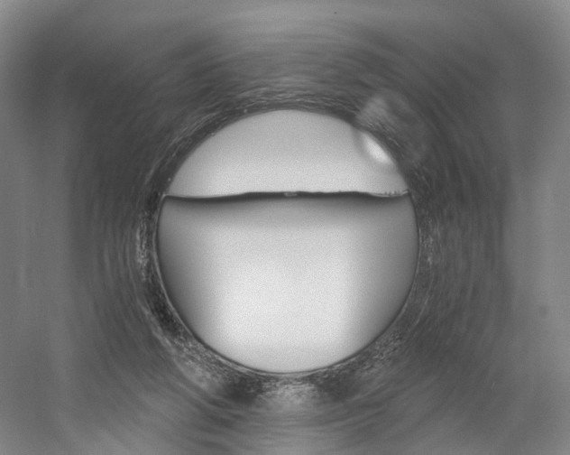 X0000058800210200509300923