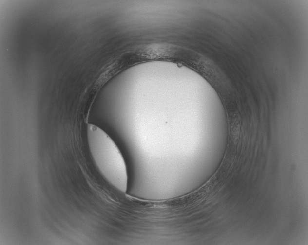 X0000058800214200509300923