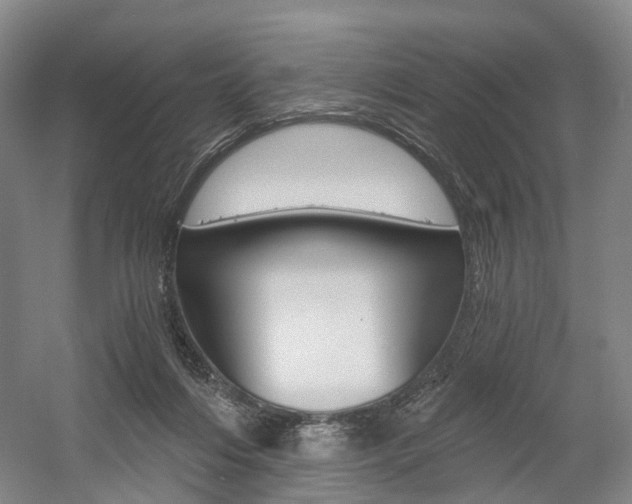 X0000058800216200509300923