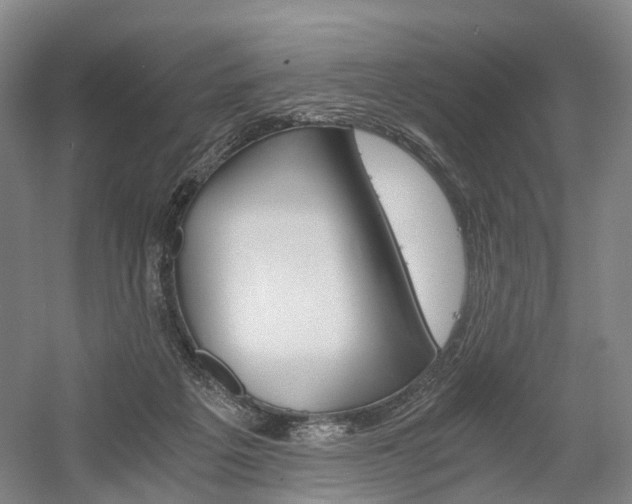 X0000058800217200509300922