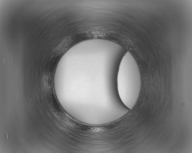 X0000058800218200509300922