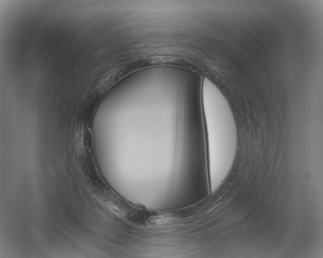 X0000058800219200509300922