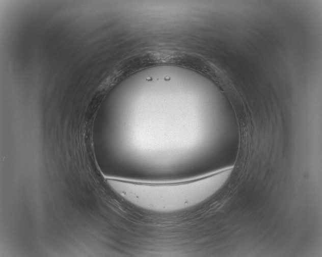 X0000058800221200509300922