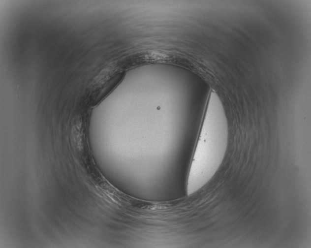 X0000058800223200509300922