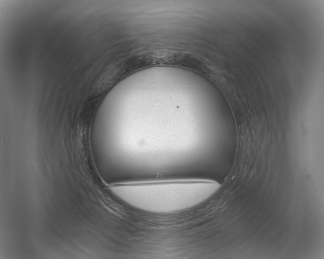 X0000058800225200509300922