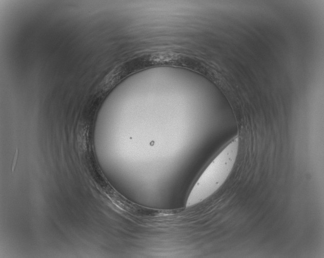 X0000058800227200509300922