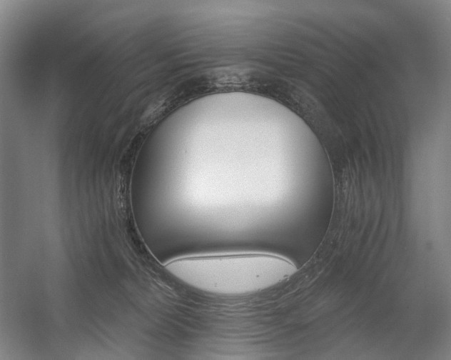 X0000058800228200509300922