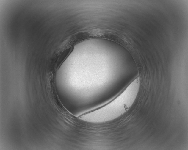 X0000058800229200509300922
