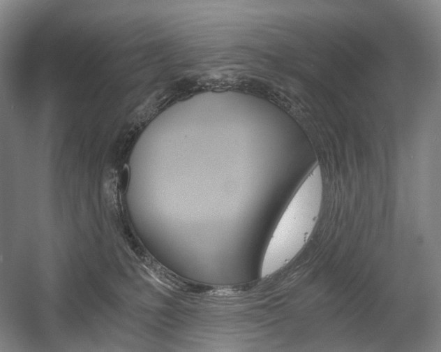 X0000058800231200509300922