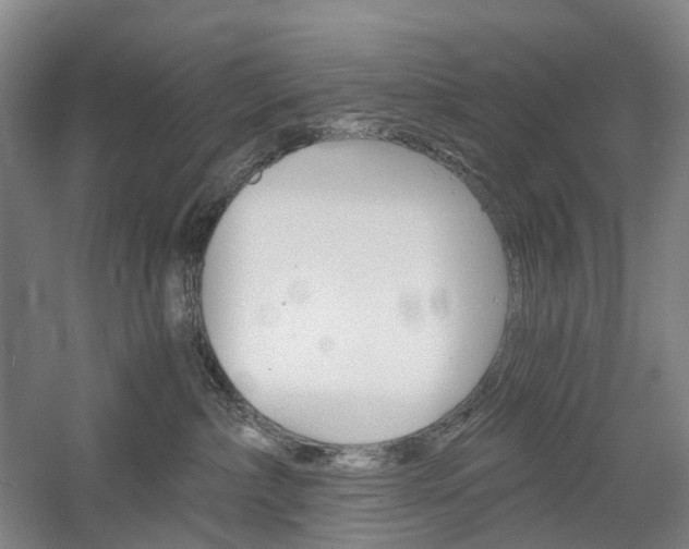 X0000058800236200509300922