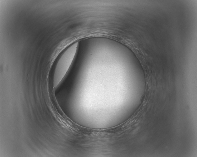 X0000058800242200509300921