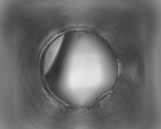 X0000058800243200509300921