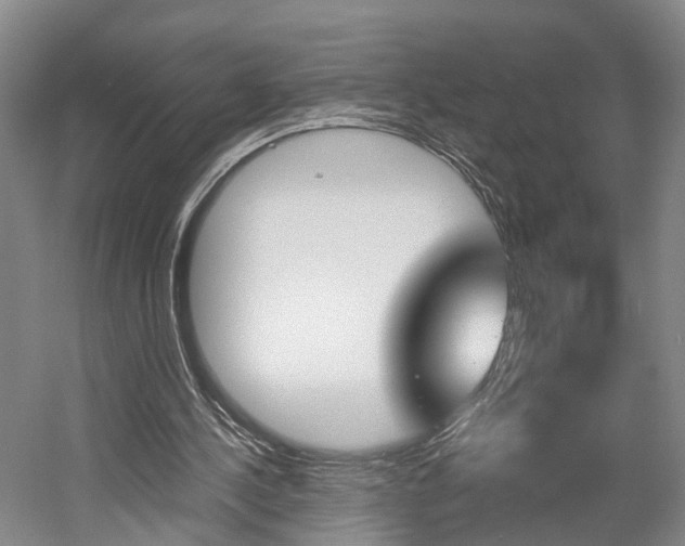 X0000058800244200509300921