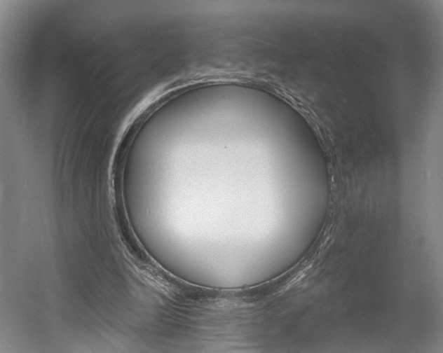 X0000058800246200509300921