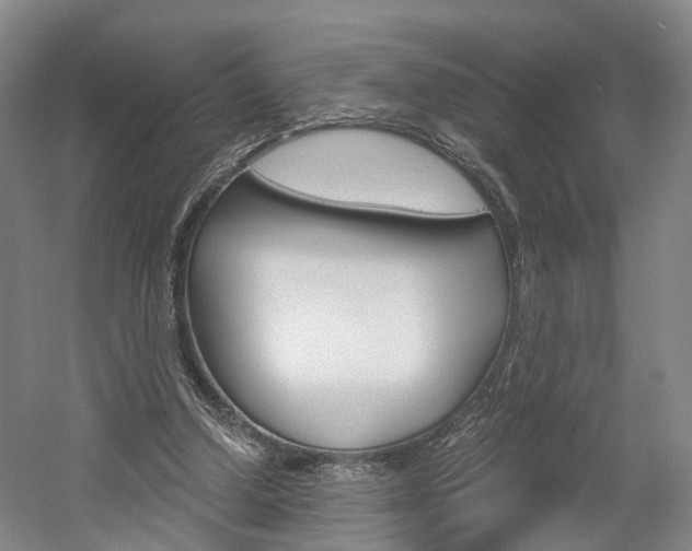 X0000058800250200509300921