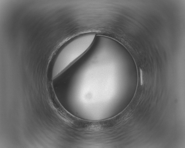 X0000058800252200509300921