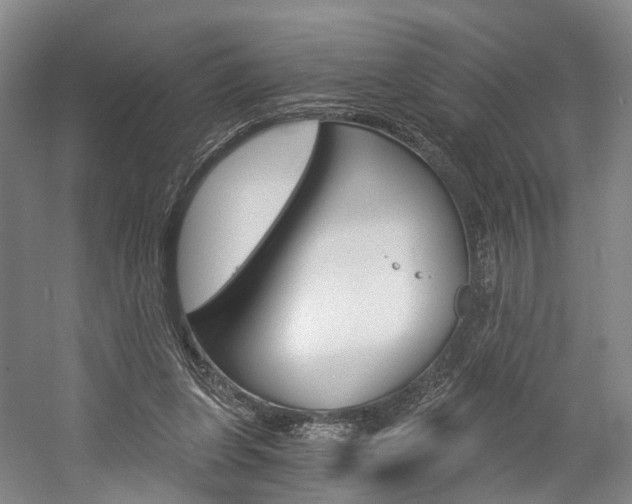 X0000058800255200509300922