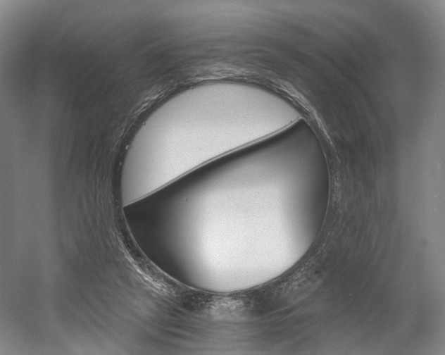 X0000058800257200509300922