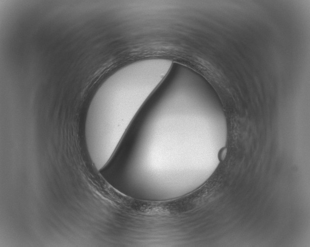 X0000058800258200509300922