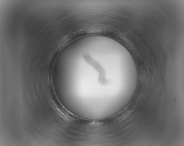 X0000058800261200509300922