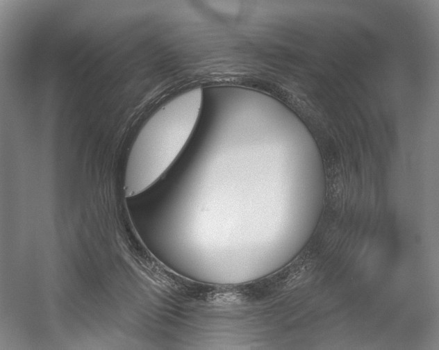 X0000058800262200509300922