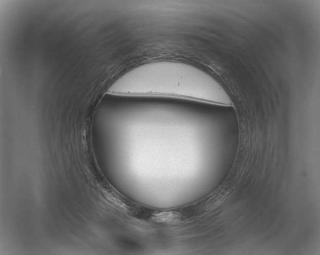 X0000058800269200509300922