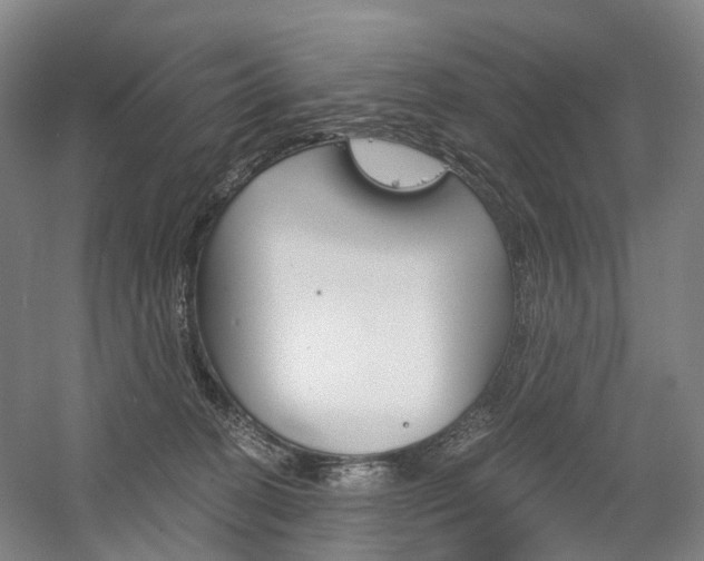 X0000058800274200509300922