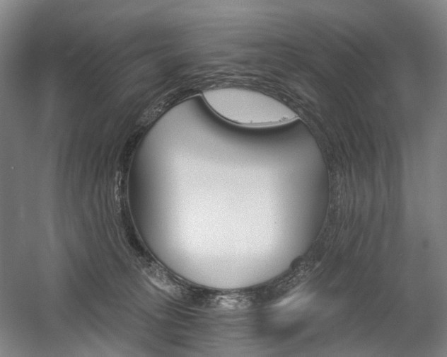 X0000058800275200509300922