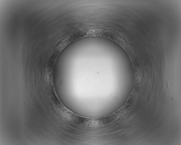 X0000058800276200509300922