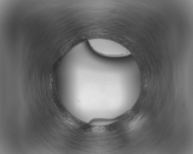 X0000058800279200509300922