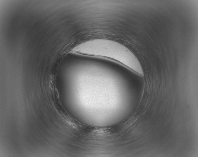 X0000058800280200509300922