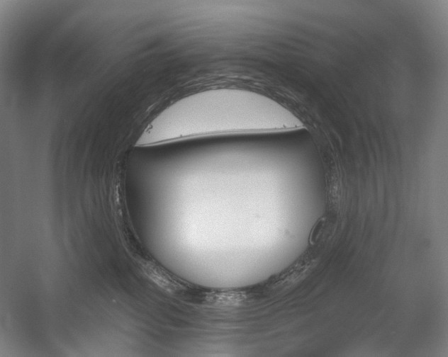 X0000058800282200509300922