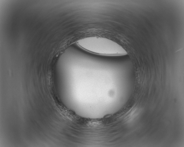 X0000058800283200509300922