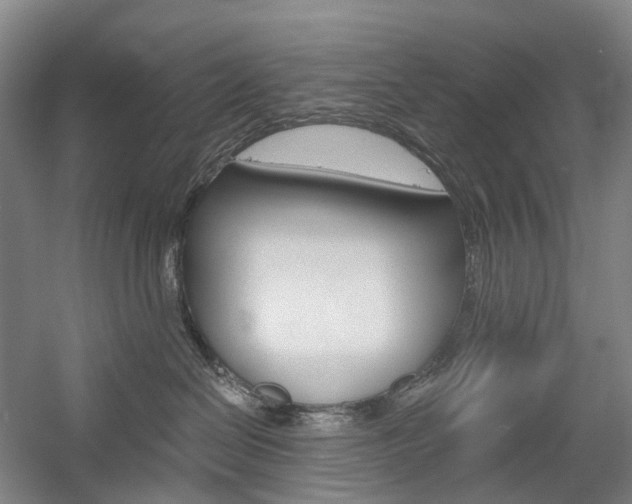 X0000058800286200509300922