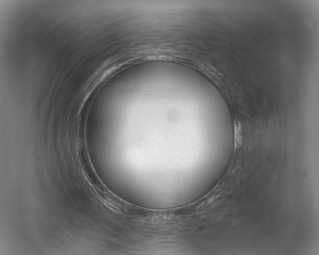 X0000058800291200509300921