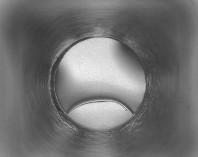 X0000058800292200509300921