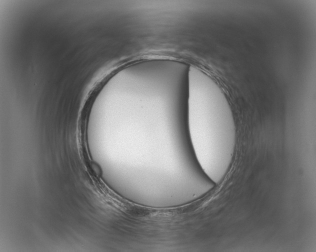 X0000058800294200509300921
