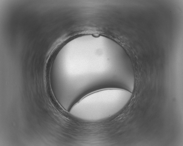 X0000058800296200509300921