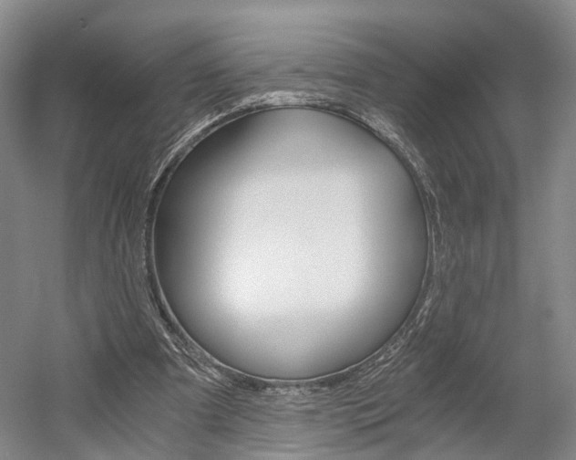 X0000058800297200509300921