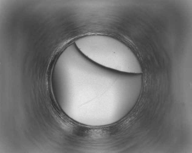 X0000058800298200509300921