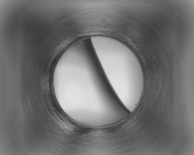 X0000058800299200509300921