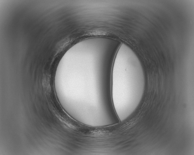 X0000058800300200509300921