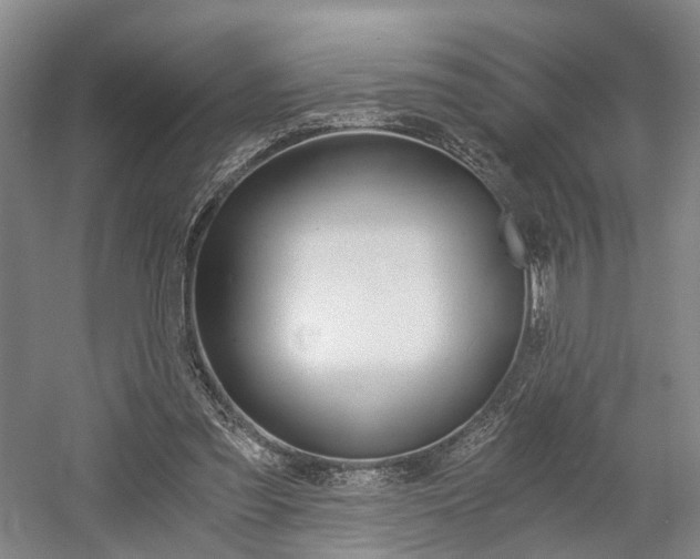X0000058800301200509300921
