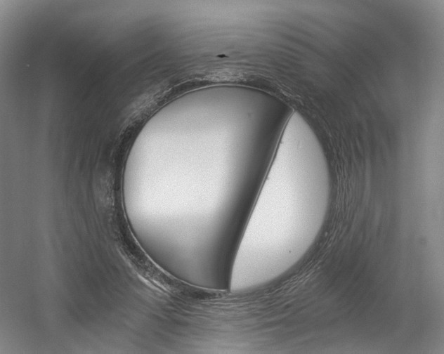 X0000058800303200509300921