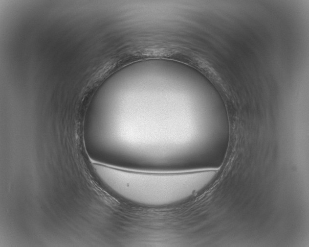 X0000058800305200509300921